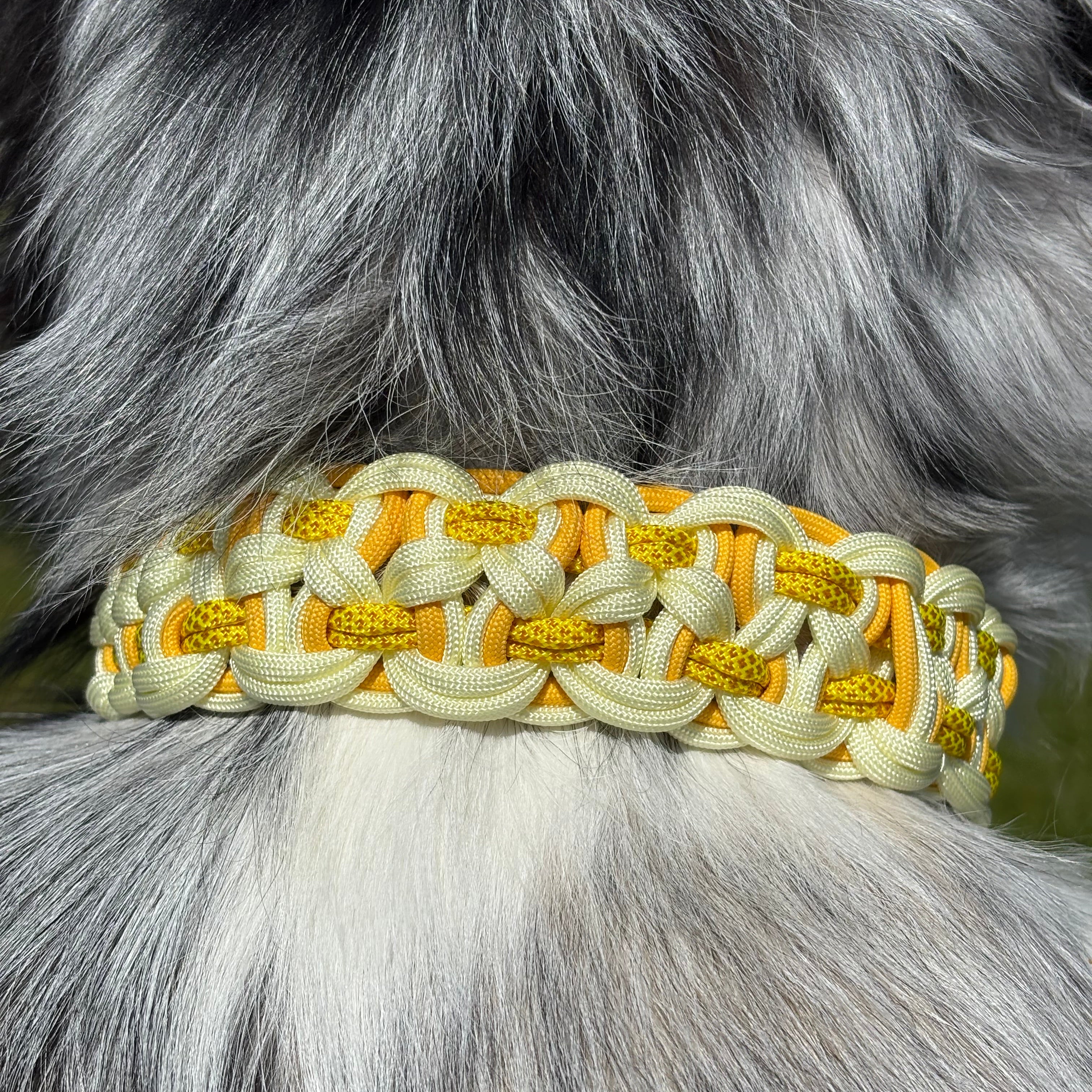 Collier Miel