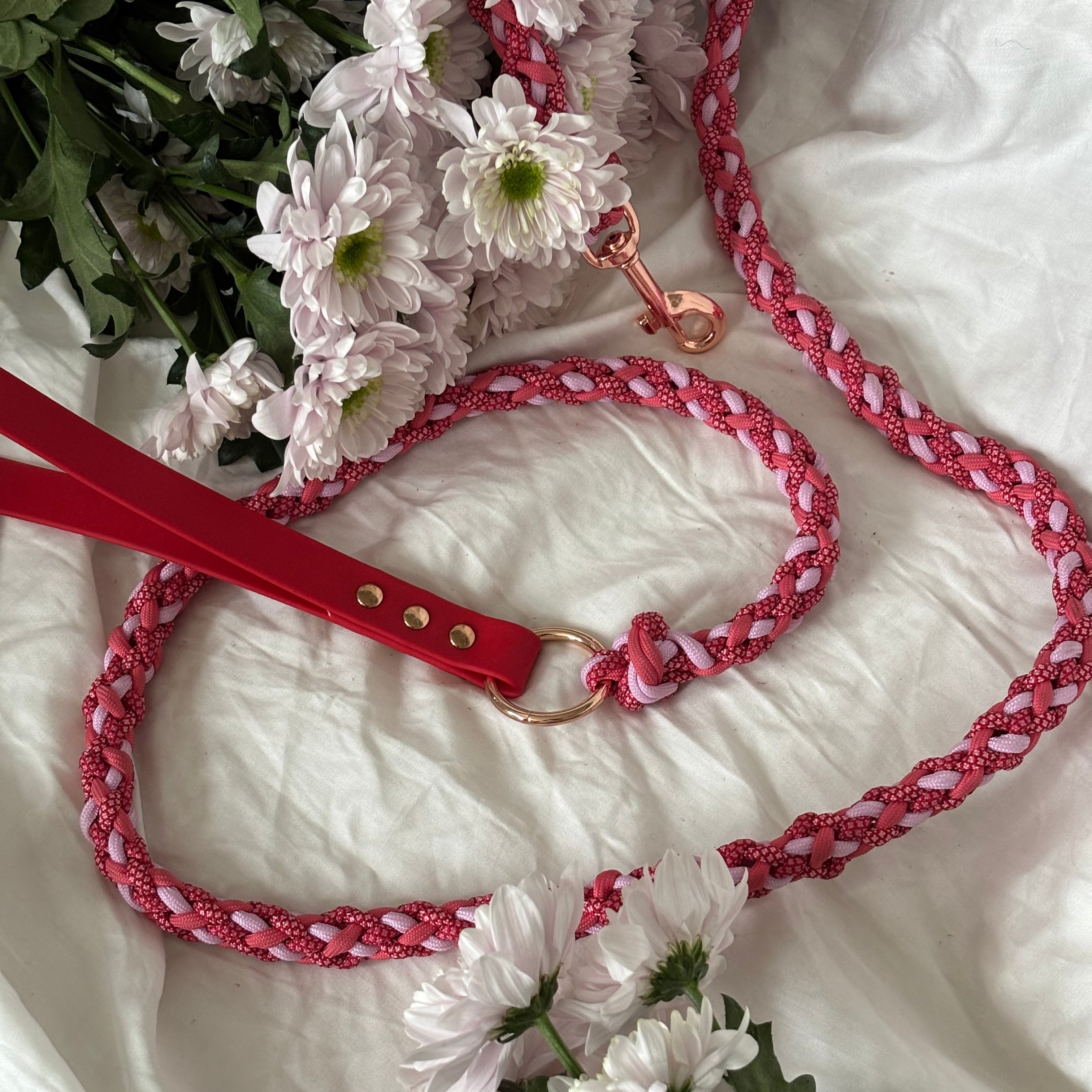 Laisse Fraise