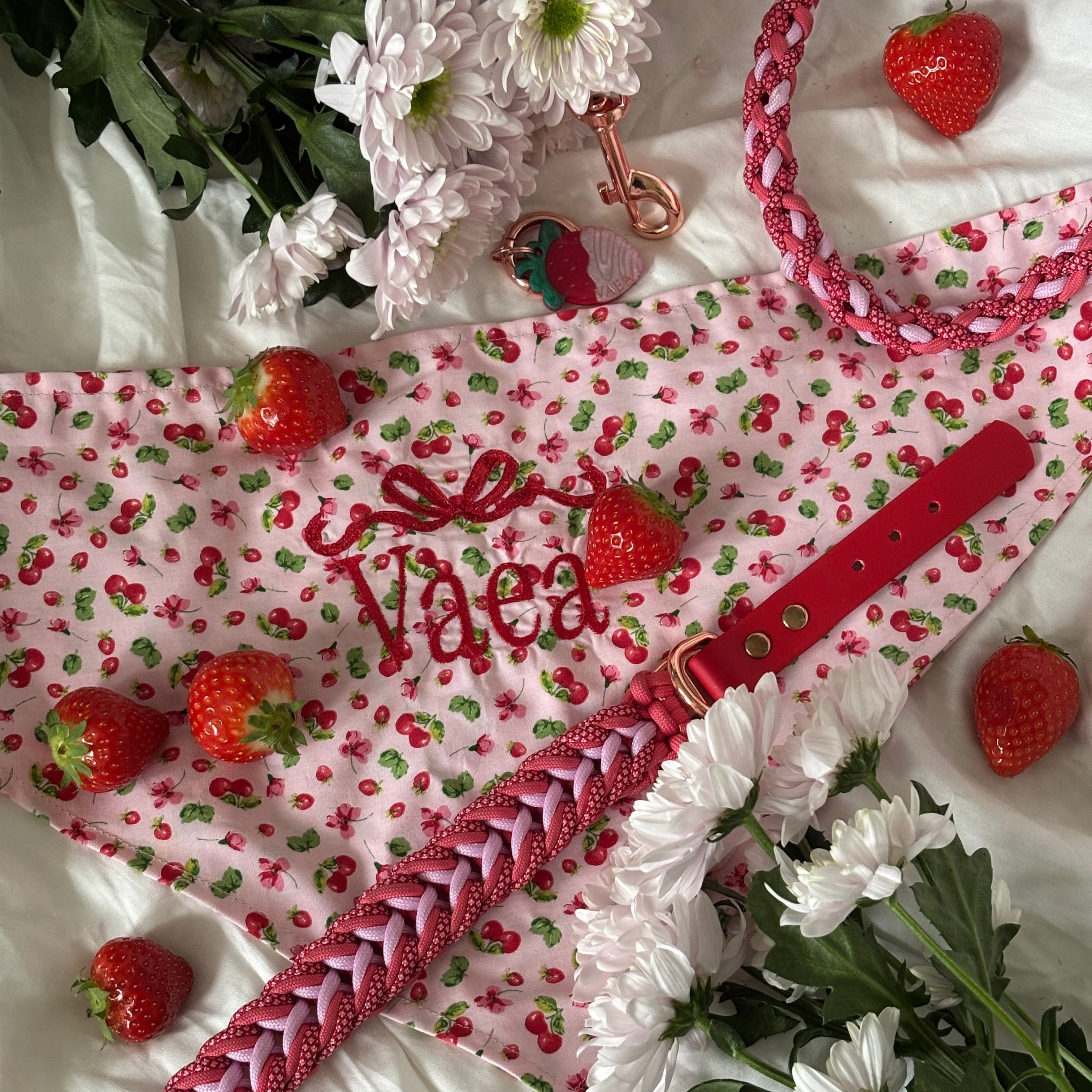 Ensemble Fraise