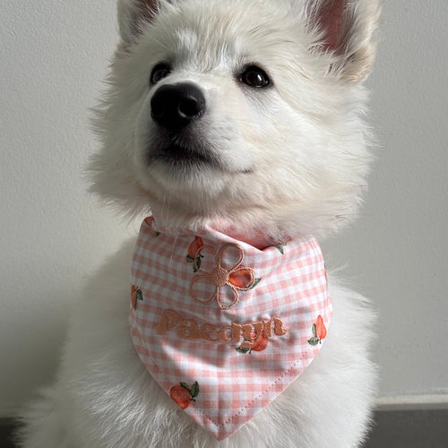 Bandana Pêche