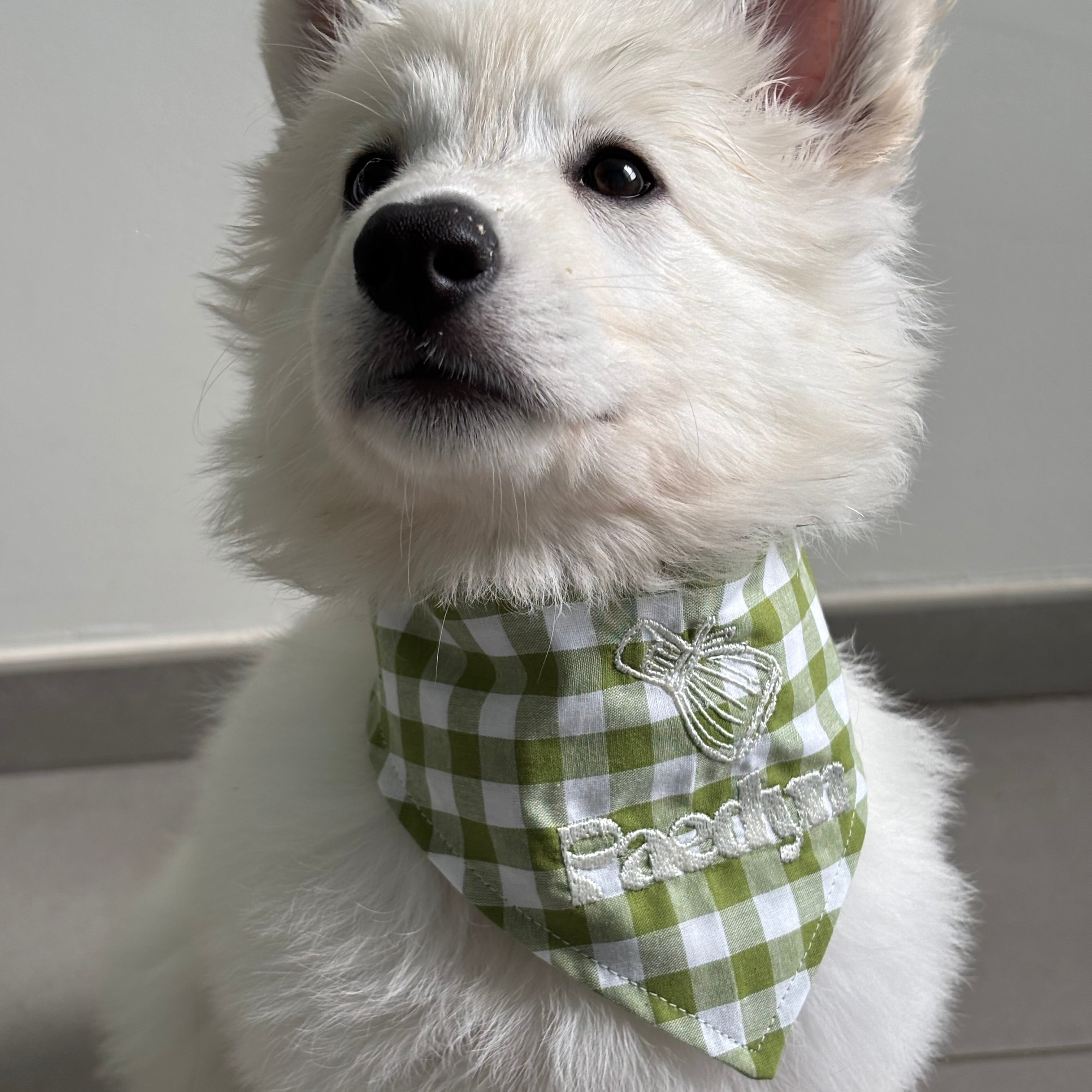 Bandana Matcha
