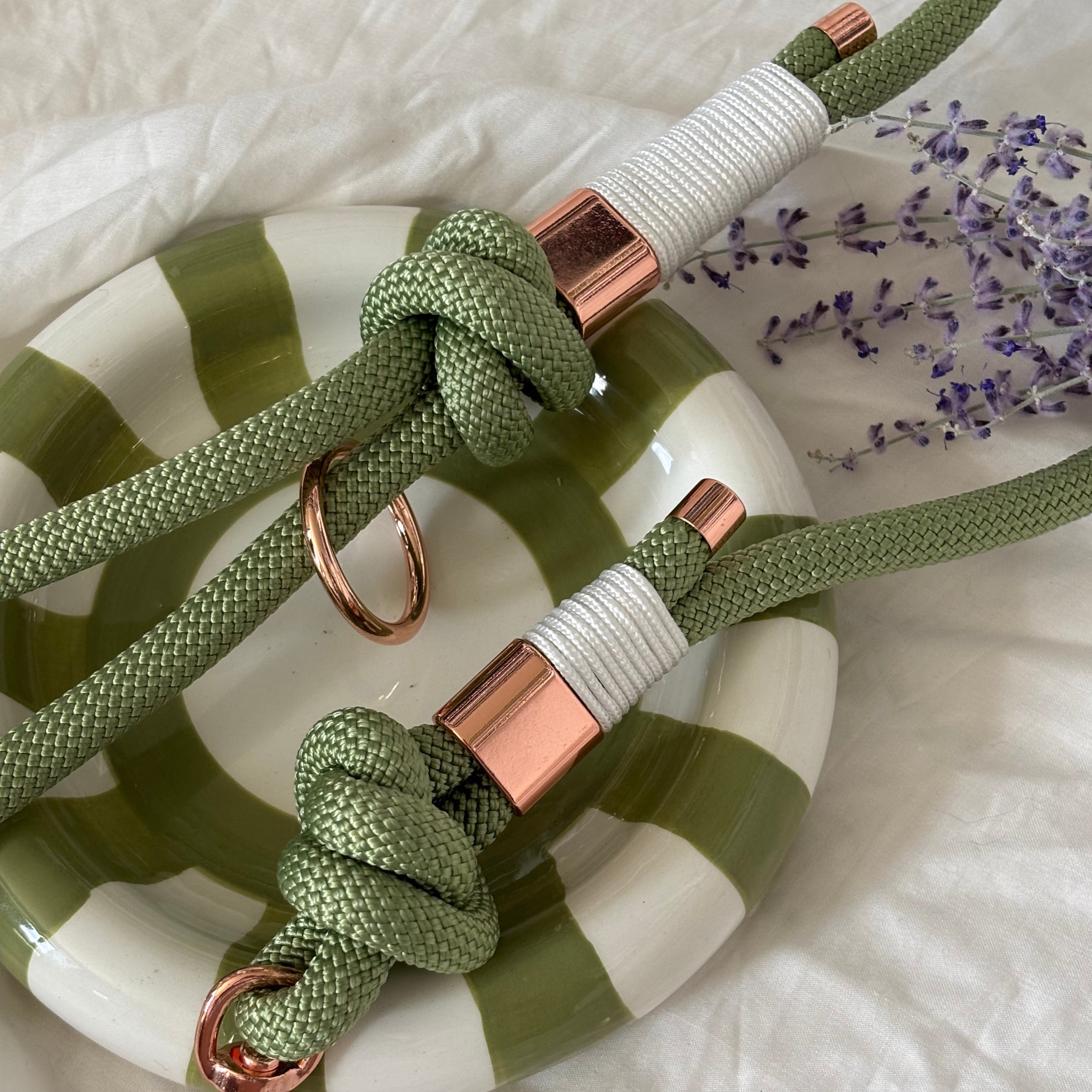Laisse Matcha